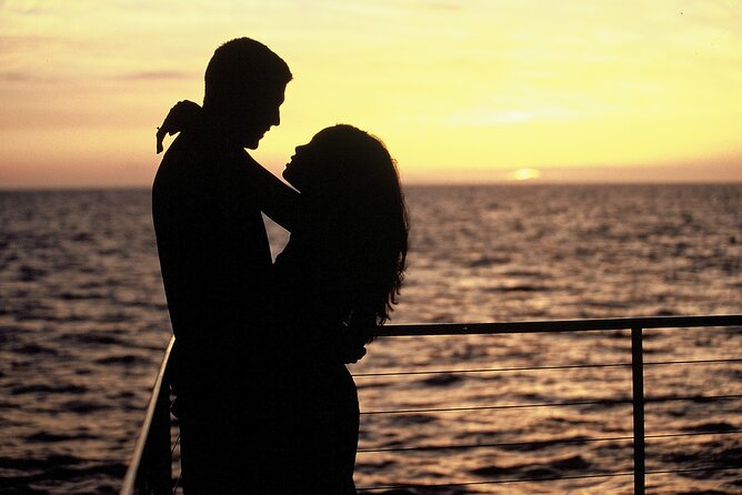 Premium Snorkel Sunset Cruise with Whale and Dolphin Watch - Who Will Get the Most From This Cruise?