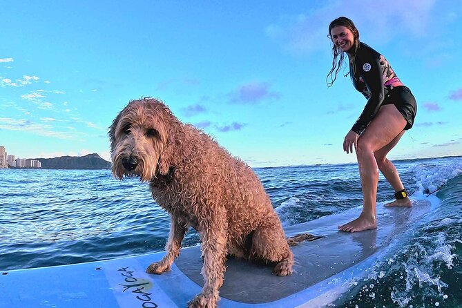 Private 1-on-1 Surf Lesson with Videos and Photos - One hour of practice with the instructor beside you