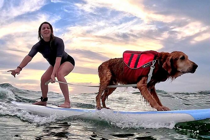Private 1-on-1 Surf Lesson with Videos and Photos - What the waves may feel like for a beginner