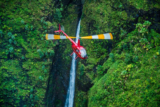 Private 45 Minute Helicopter Tour with Romantic Landing - Who should book, and who should think twice