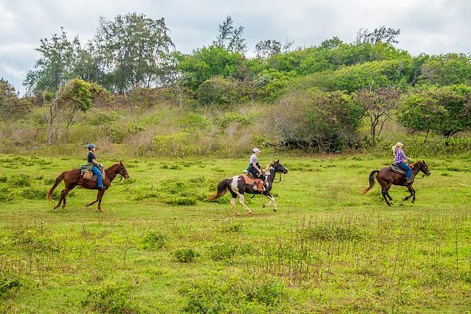 Private Advanced Trail Ride - Key things to know before you book