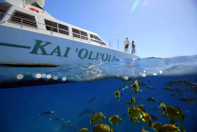 Private and Luxurious Sunset Cruise with Whale & Dolphin Watch - Key points to know before you book