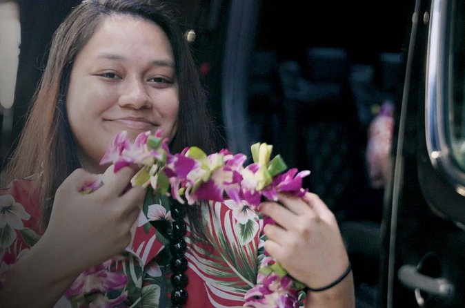 Private Arrival Transfer: Honolulu International Airport to Oahu Hotels or Cruise Terminal - The best part is the human service
