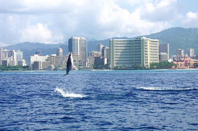 Private Boat Charter in Waikiki for Snorkeling and Events - Snorkeling with gear and in-water support
