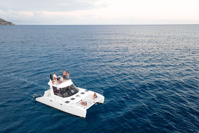 Private Catamaran Cruise and Snorkeling Tour in Honolulu - Dolphins and whales are welcome surprises
