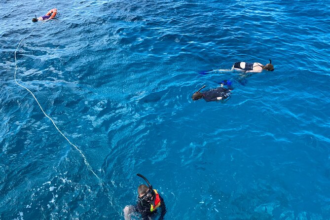 Private Catamaran Cruise and Snorkeling Tour in Honolulu - What the $749 group price really means