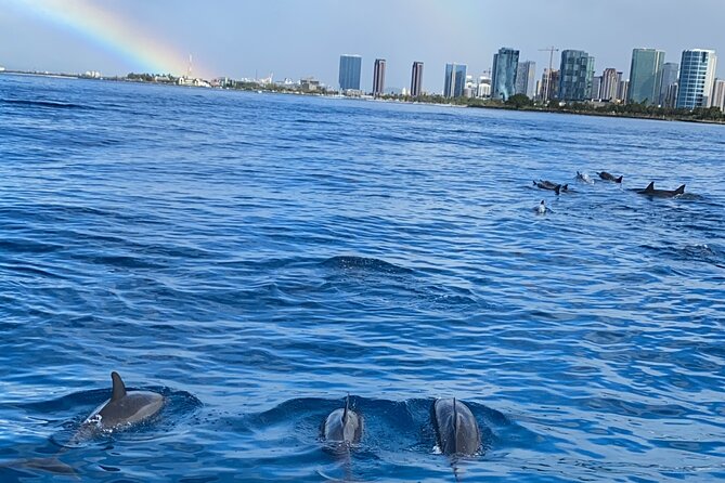 Private Catamaran Cruise and Snorkeling Tour in Honolulu - Who will enjoy this catamaran most