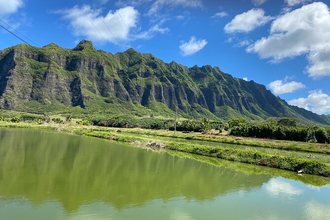 Private Circle Island Off-the-Beaten- Oahu Tour - Pu’u O Mahuka Heiau and the view over Waimea Valley