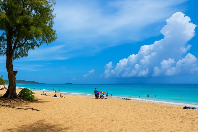 Private Circle Island Tour North Shore and East Side - Why a private circle island day can work well