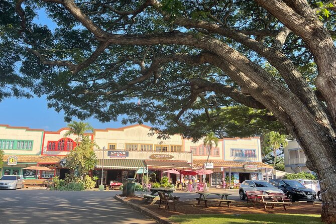 Private Circle Island Tour North Shore and East Side - Waimea Falls and the longest stop