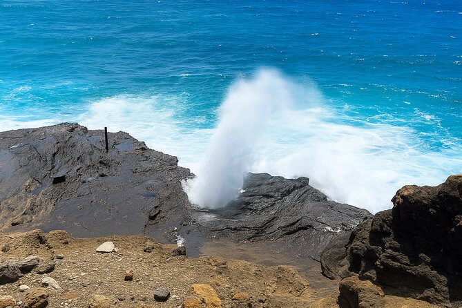 Private Circle Island Tour North Shore and East Side - Halona Blowhole and Eternity Beach