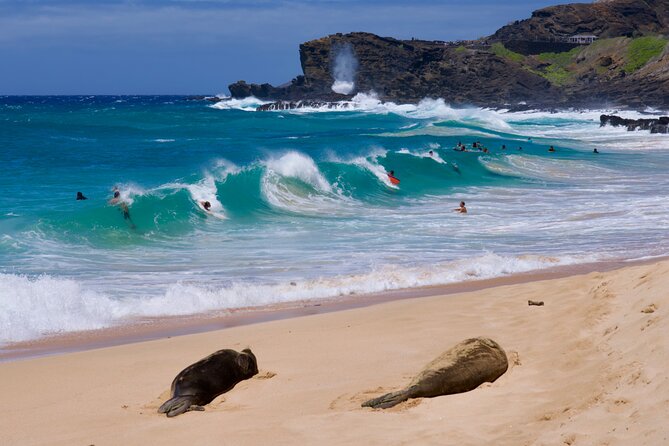 Private Circle Island Tour-Oahu-Customizable - Hanauma Bay, Halona Blowhole, and Sandy Beach