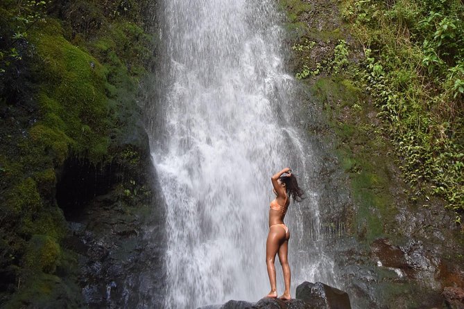 Private Circle Island Tour we build your dream Itinerary - What this private Oahu tour actually offers