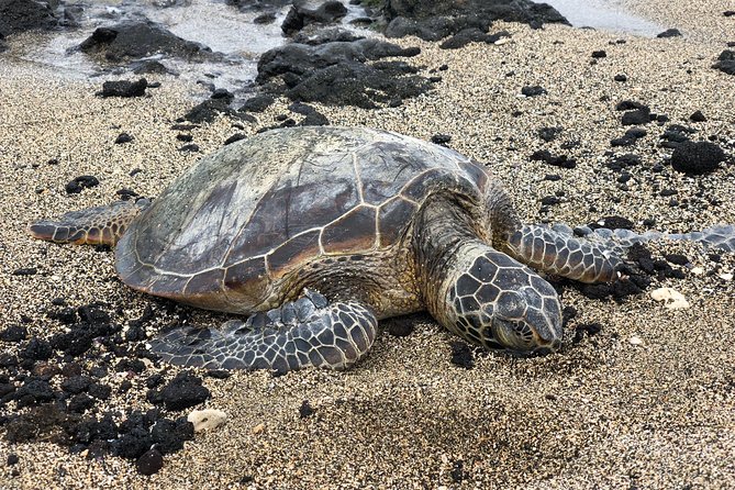 Private Circle Island Tour we build your dream Itinerary - Mokoliʻi Island and the windward coast