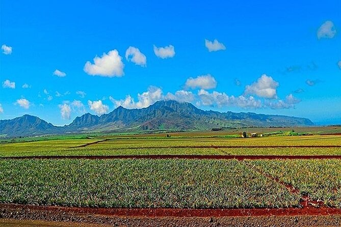 Private Customizable Oahu Grand Circle Island Tour from Waikiki - Diamond Head to the Kaiwi Coast