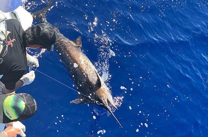 Private Deep Sea Full-Day Fishing Charter in Hawaiian Waters - Is this suitable for beginners and families?