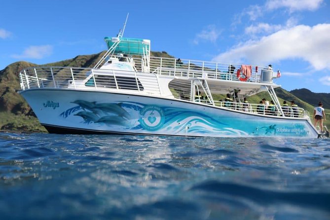 Private Dolphin Swim with Slide for up to 15 Passengers - Why a private boat changes the day