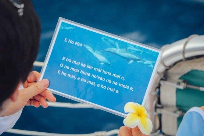 Private Dolphin Swim with Slide for up to 15 Passengers - Food, drinks, and what to bring