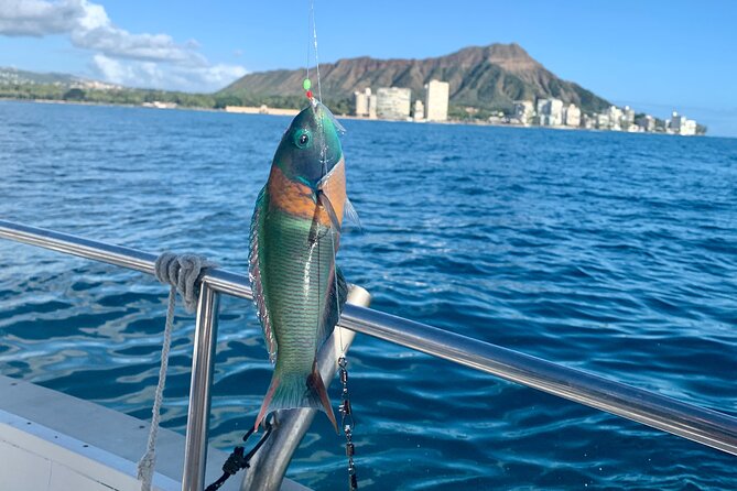 Private Fishing Charter for Family and Friends in Honolulu - Captains Who Work Well With Families