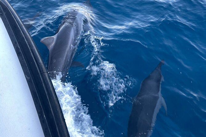 Private Fishing Charter for Family and Friends in Honolulu - Practical Tips Before You Book