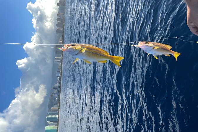 Private Fishing Charter for Family and Friends in Honolulu - How This Compares With a Deep-Sea Charter