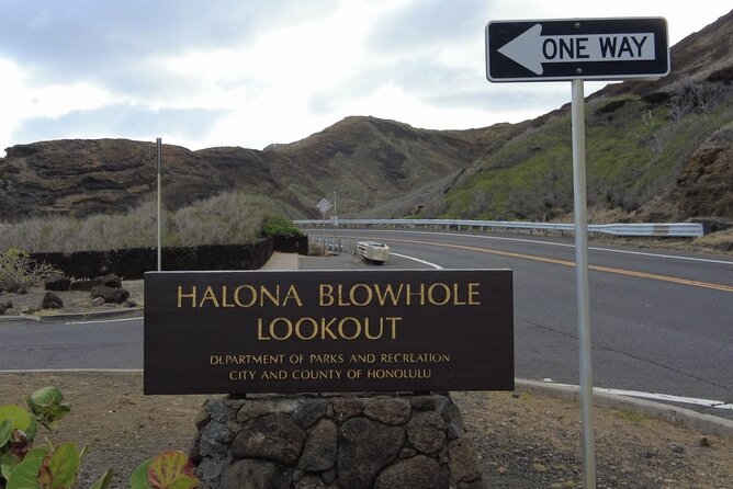 Private Full-Day Circle Island Guided Small-Group up to 6 (Se habla Español) - Dole Plantation closes the loop