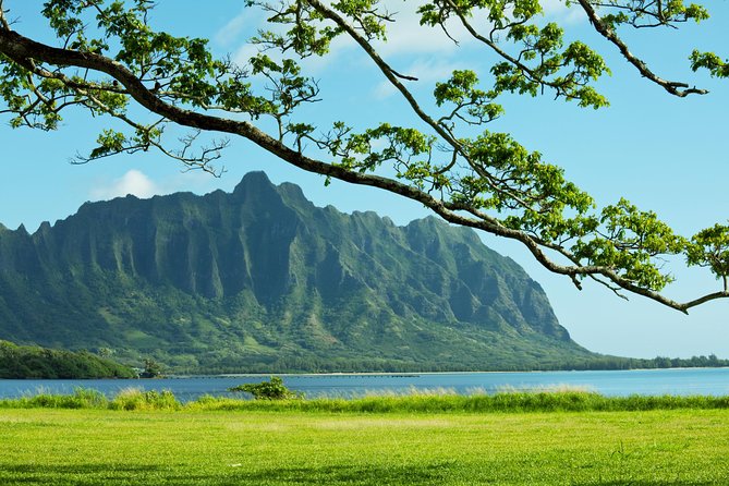 Private Green and Blue Circle Island Oahu Tour (se habla espanol) - Dole Plantation: pineapple, gardens, and a sweet break