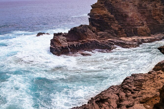 Private Half-Day Circle Island Highlights Tour in Oahu - What the Private Van Adds