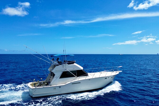 Private Luxury Sportfishing Experience Aboard Limitless - The honest tradeoff: a private boat does not guarantee fish