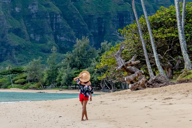 Private North Shore of Oahu Tour - Waimea Bay and Oahu’s famous surf