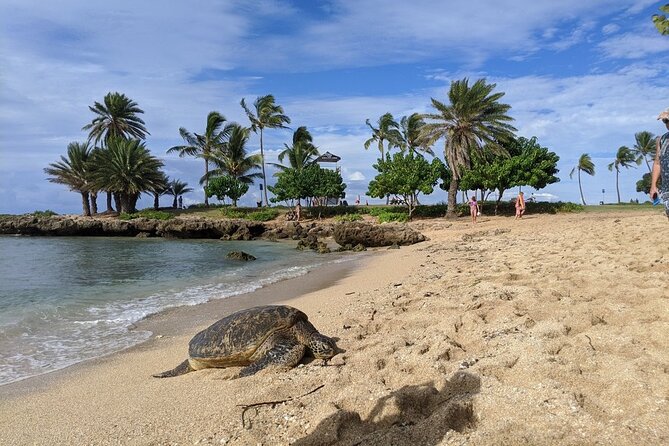 Private Oahu Circle Island Tour - Makapu‘u Point brings wide Pacific views