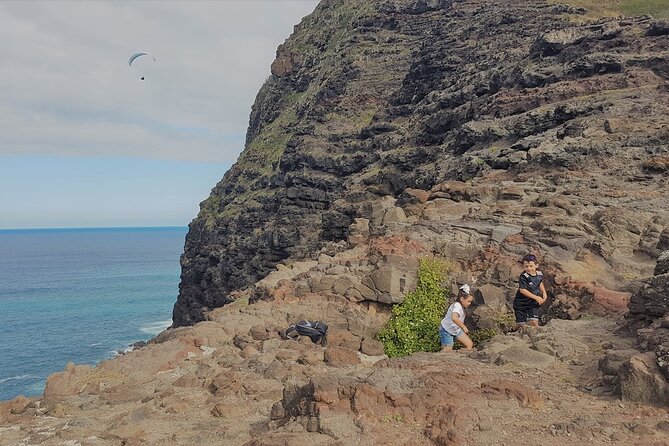 Private Oahu Circle Island Tour - Tropical Farms adds a hands-on food stop