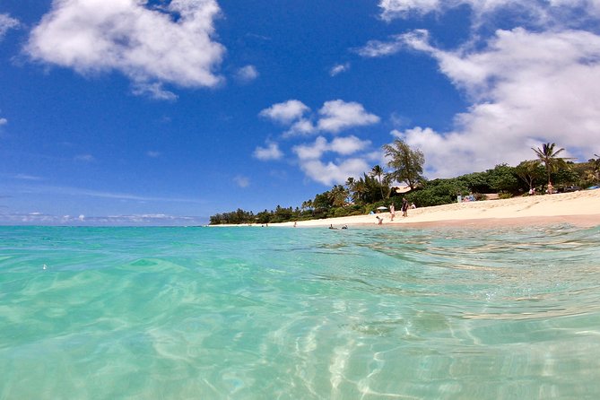 Private Oahu Pearl Harbor and Island Sightseeing Combination Tour - Downtown Honolulu and Waikiki