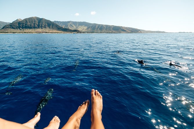 Private Oahu Sunset Charter with Tasting and Drinks - A tasting menu served after the anchor drops