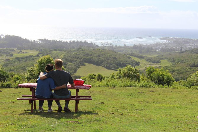 Private Off-Road Adventure Tour - Reaching the North Shore viewpoint