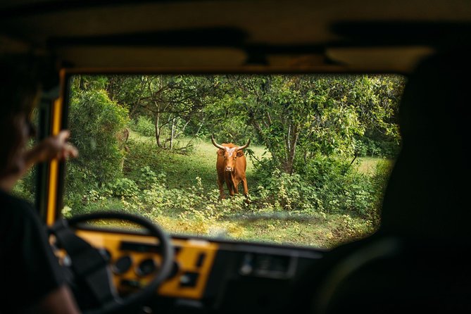 Private Off-Road Adventure Tour - What the 90-minute ride is really like