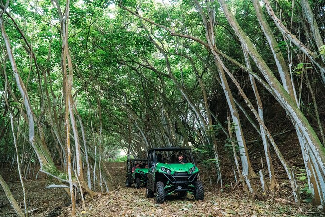 Private Off Road Explorer's Tour - What the one-hour Gunstock Ranch ride feels like