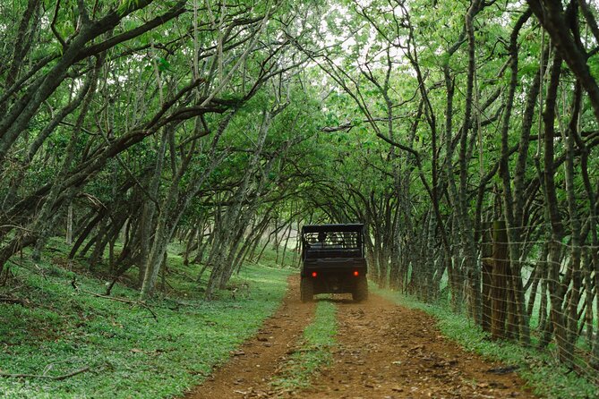 Private Off Road Explorer's Tour - Tree planting and a closer connection to the ranch