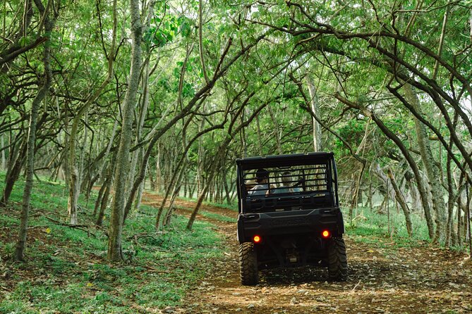 Private Off-Road Sunset Dinner - Is $257 per person a fair price?