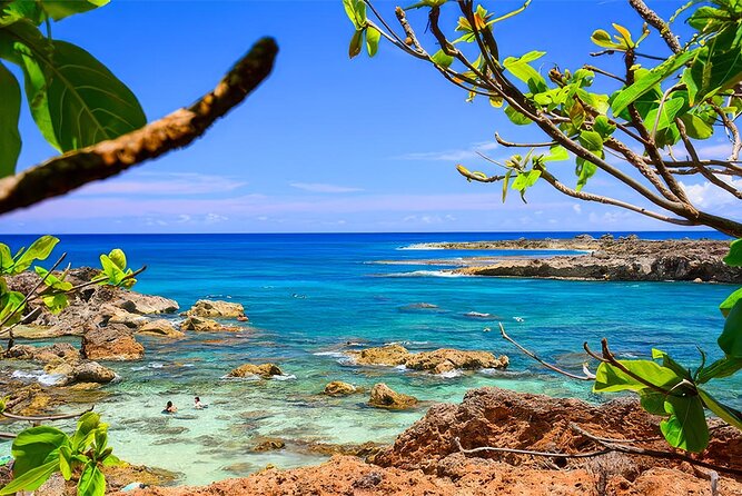 PRIVATE Premium Circle Island Tour (12 Stops) - Macadamia nuts and island fruit