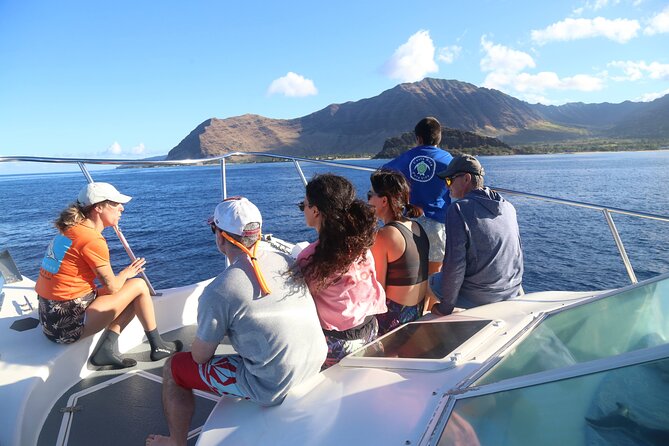 Private Sea’fari Expedition • 8 Guests Included (Expandable) - Food, comfort, and the private-boat value