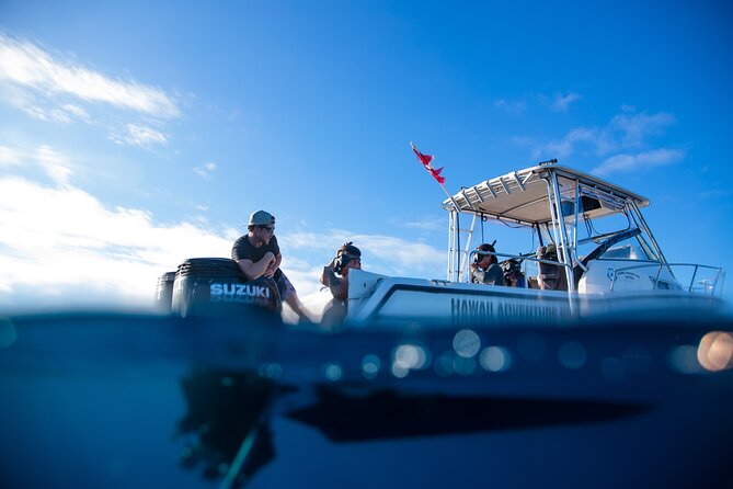 Private Shark Dive, Oahu, Hawaii (6 Guest) - Snorkeling or free-swimming near several shark species