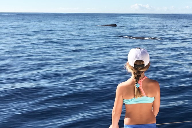 Private Snorkel Trip from Oahu on a Yacht - Leaving Ko Olina Marina at 10 a.m.