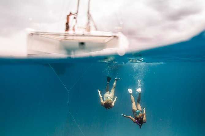 Private Snorkel Trip from Oahu on a Yacht - What the private format changes