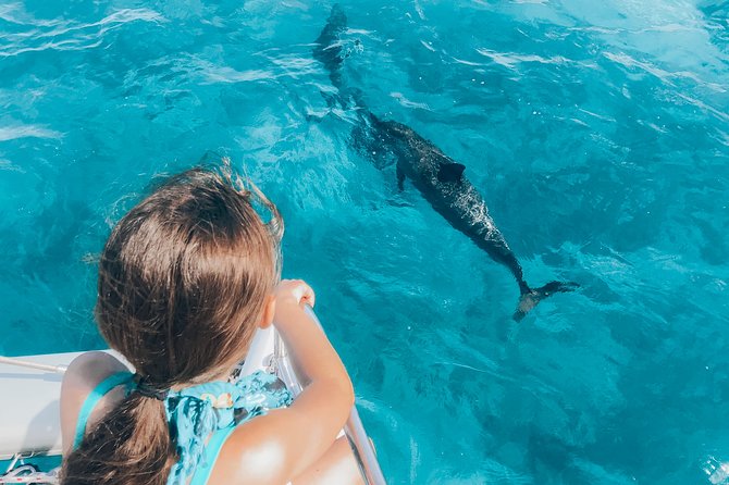 Private Snorkel Trip from Oahu on a Yacht - Weighing the three-hour schedule