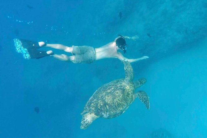 Private Snorkeling and Wildlife on The Adventure Boat - A private boat changes the whole Oahu outing