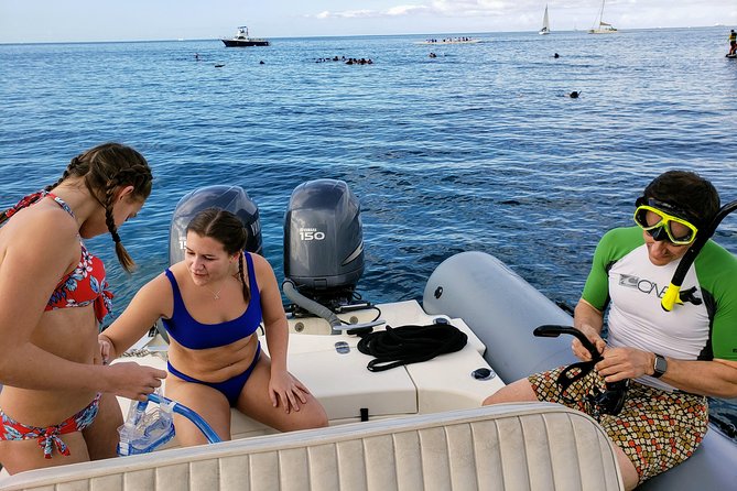 Private Snorkeling and Wildlife on The Adventure Boat - Waikiki Beach from the water