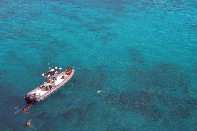 Private Snorkeling and Wildlife on The Adventure Boat - Snorkeling with turtles, fish, and the occasional surprise