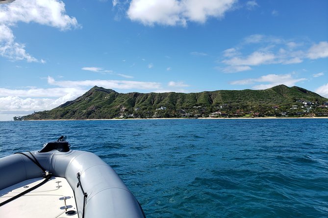 Private Snorkeling and Wildlife on The Adventure Boat - What the two-hour schedule really means