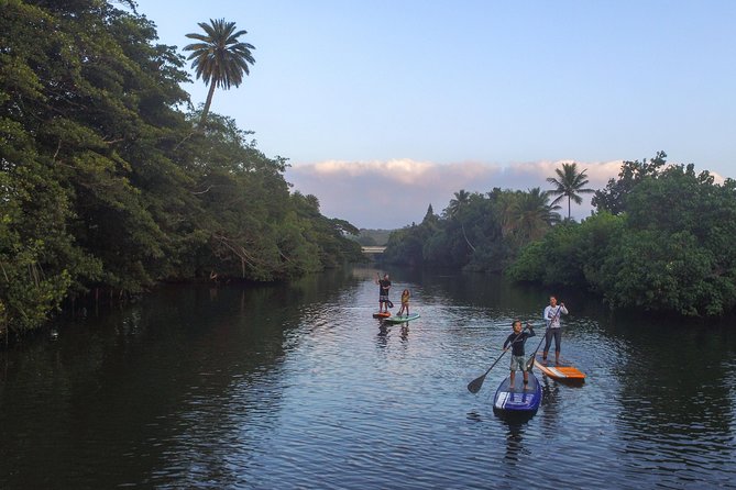 Private Stand up Paddle Lesson and Tour (for 1 or more paddlers) - Learning to stand before heading upriver
